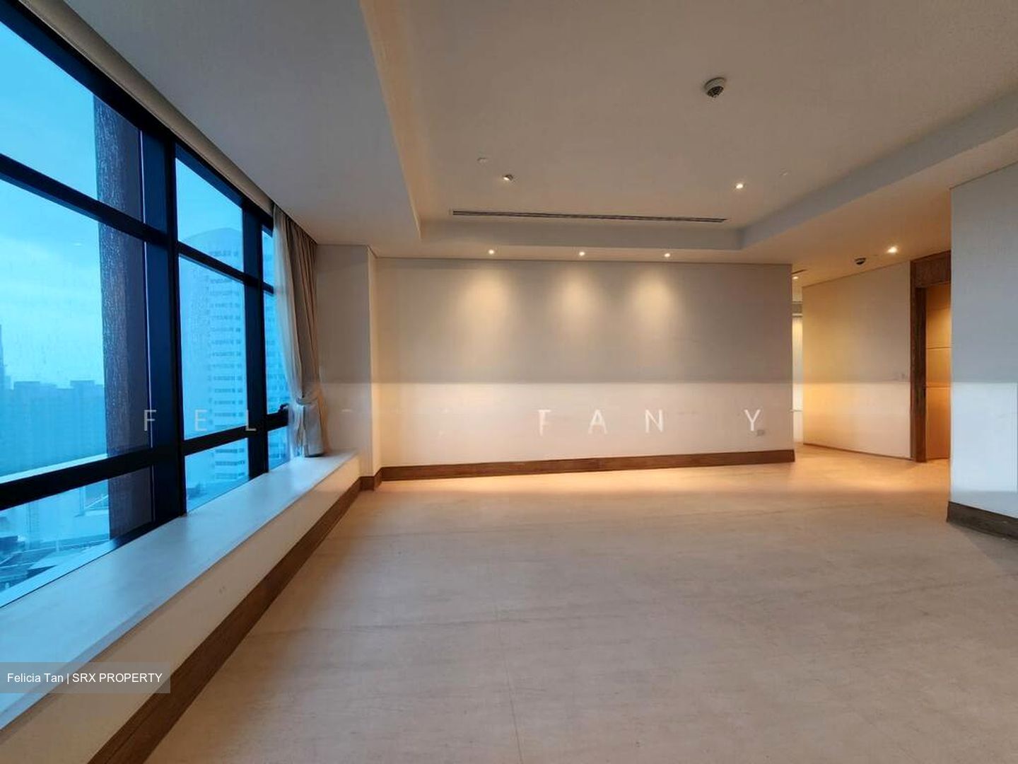 The Ritz-Carlton  (D9), Condominium #504076821